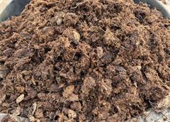 Grov svensk sphagnum 225 L.